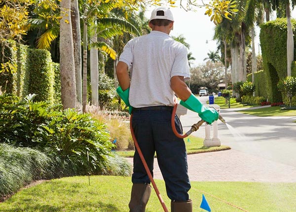 About Westville FL Pest Control